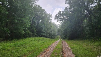 /international/us/tbd-markerville-road-story-ar-110098248515/?lang=en