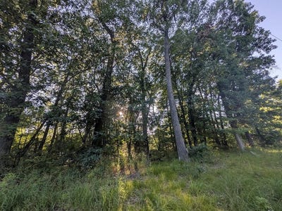 /international/us/6th-avenue-lot-83-grand-marsh-wi-110119369023/