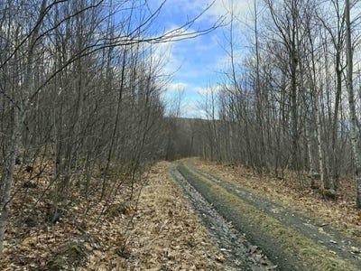 /international/us/coffin-road-lot-3-5-industry-me-110107501988/