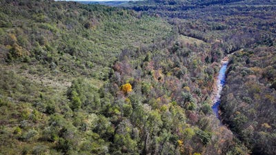/international/us/fyock-dr-windber-pa-110102899901/
