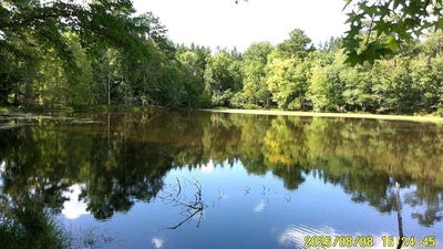 /international/us/6711-mccormick-hwy-troy-sc-110119550991/