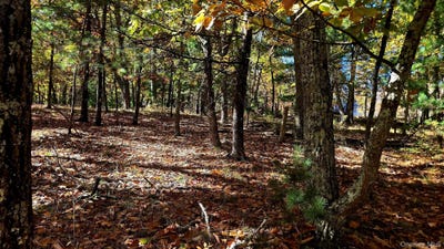 /international/us/chestnut-street-w-wurtsboro-ny-110120682516/