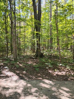 /international/us/9168-pine-drive-ne-mancelona-mi-110110068442/
