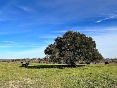 /international/us/tbd-oil-field-road-brenham-tx-110089740221/?lang=zh-cn