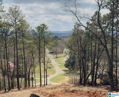 /international/us/monta-vista-road-lot-0-oxford-al-110106563944/
