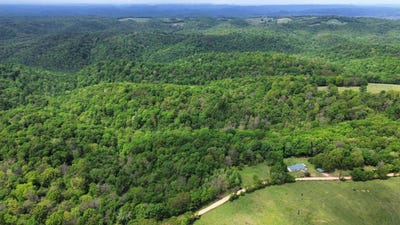 /international/us/104a-williamson-trail-guion-ar-110107637500/