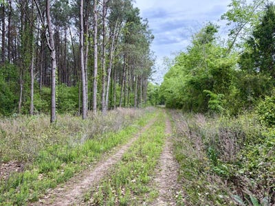 /international/us/002-drag-strip-road-dardanelle-ar-110107465241/