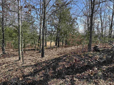 /international/us/lot-2-deer-meadows-lane-yellville-ar-110098134555/