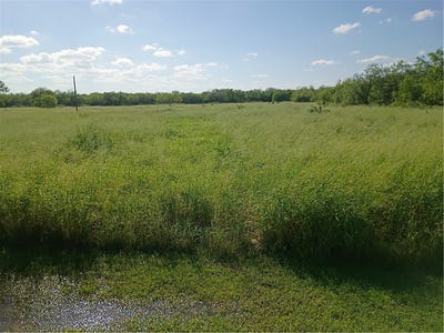 /international/us/356-deer-meadows-drive-lot-23-alice-tx-110108944684/