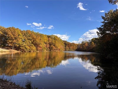 /international/us/95-acres-state-hwy-aa-wright-city-mo-110103372661/