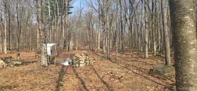 /international/us/8-starlight-drive-monticello-ny-110106920921/