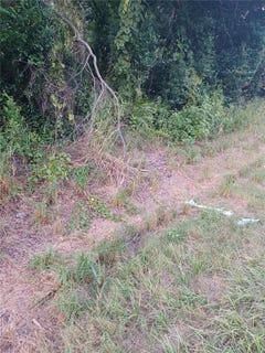 /international/us/88-dirksen-drive-debary-fl-110106716551/
