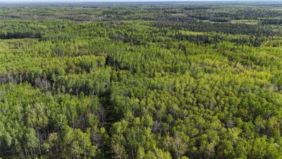 /international/us/town-road-118-birchdale-mn-110107655520/