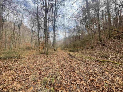 /international/us/sand-fork-road-walkersville-wv-110103582998/