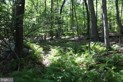 /international/us/lot-312-ridge-run-claysburg-pa-110075121878/?lang=zh-tw