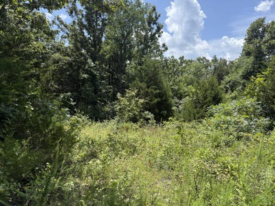 /international/us/ranch-road-willow-springs-mo-110120518111/