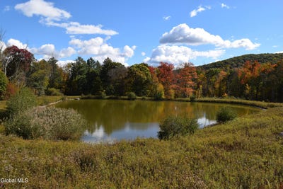 /international/us/10695-route-22-hillsdale-ny-110120499843/