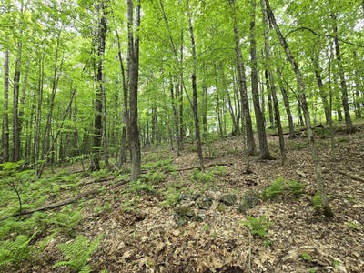 /international/us/canton-mountain-road-lot-26-jay-me-110107400807/