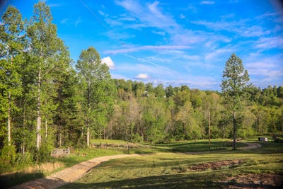 /international/us/4136-bryan-creek-road-glenwood-wv-110107848693/