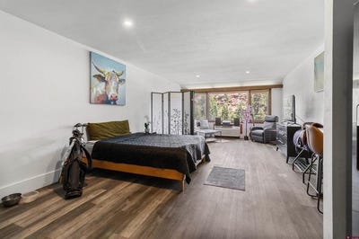 /international/us/314-n-tamarron-dr-durango-co-110100420154/