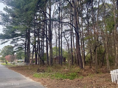 /international/us/307-viverette-avenue-battleboro-nc-110106759105/