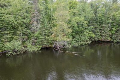 /international/us/on-wayne-dr-presque-isle-wi-110108914404/
