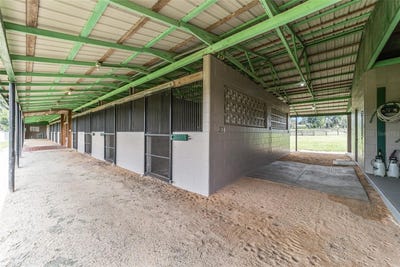 /international/us/17176-n-us-highway-441-reddick-fl-110093764365/