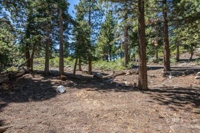 /international/us/135-summit-street-mammoth-lakes-ca-110105936578/