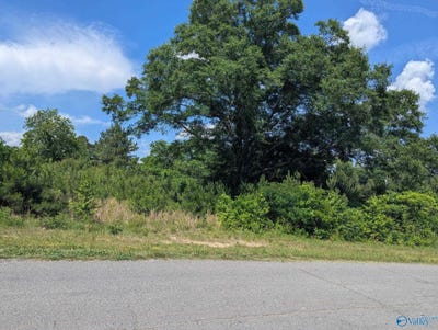 /international/us/0-55-acre-mt-vernon-rd-boaz-al-110108298862/