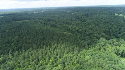 /international/us/genito-parkway-jetersville-va-110100942762/