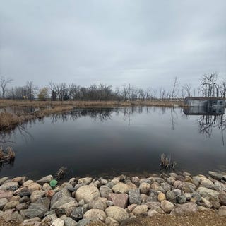 /international/us/14095-444th-avenue-waubay-sd-110108846650/
