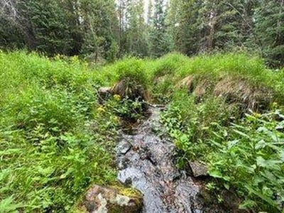 /international/us/1070-pearl-creek-rd-red-feather-lakes-co-110120054229/
