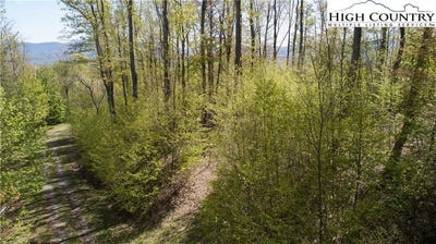 /international/us/tbd-olde-forest-57-lane-banner-elk-nc-110101502869/