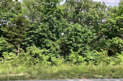 /international/us/lakeview-drive-hardy-ar-110102189934/