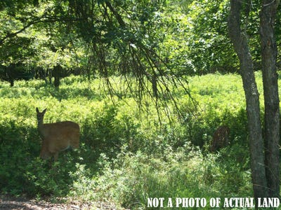 /international/us/50-schochs-mill-road-blakeslee-pa-110061268499/