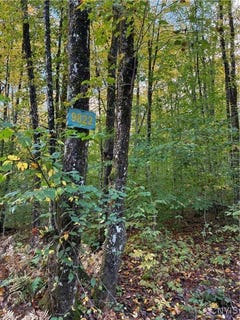 /international/us/9822-culver-brook-rd-alder-creek-ny-110102678657/