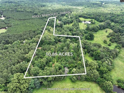 /international/us/0-rocky-branch-road-chapin-sc-110109002518/
