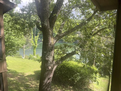 /international/us/101-3-woodson-bend-resort-bronston-ky-110099985334/