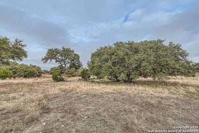 /international/us/161-mystic-shores-spring-branch-tx-110101350390/?lang=en