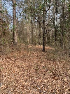 /international/us/wright-road-phenix-city-al-110090118528/