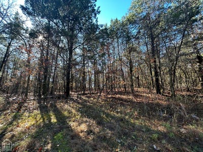 /international/us/20-acres-persimmon-point-road-lead-hill-ar-110100160686/?lang=en
