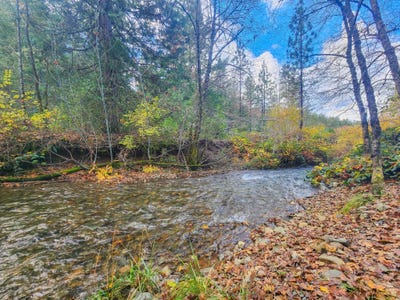 /international/us/0000-thompson-creek-road-selma-or-110101460274/