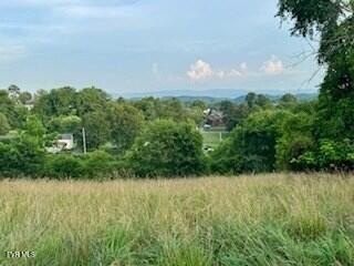 /international/us/tbd-northwest-henry-st-nw-street-abingdon-va-110101536206/?lang=pt
