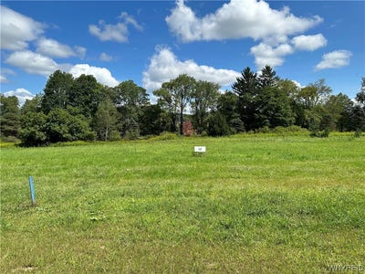 /international/us/lot-12-tanglewood-development-allegany-ny-110081514648/?lang=zh-tw