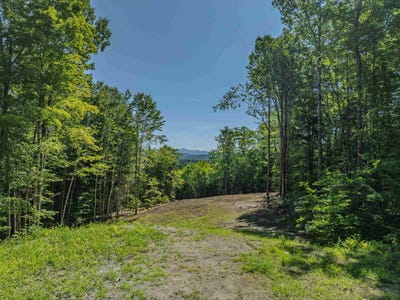 /international/us/92-29-birchcroft-drive-littleton-nh-110101124384/