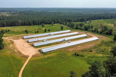 /international/us/317-n-195-highway-hope-ar-110105951730/