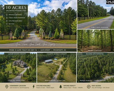 /international/us/0-elm-street-prosperity-sc-110099990545/