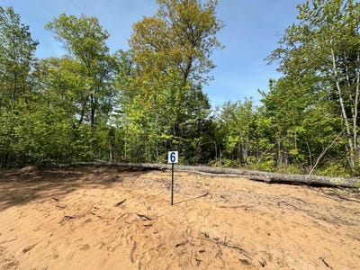 /international/us/lot-6-cth-b-land-o-lakes-wi-110093691566/