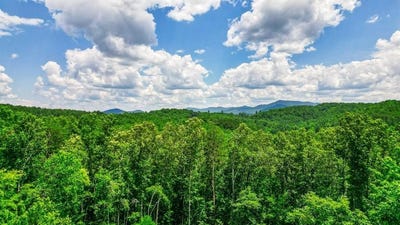 /international/us/hemlock-ridge-subd-turtletown-tn-110101102136/?lang=zh-cn