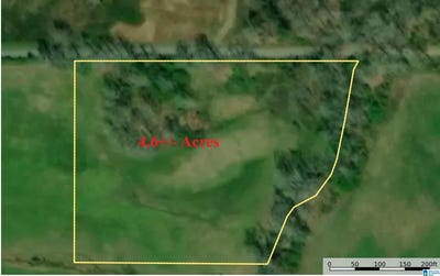 /international/us/highway-174-springville-al-110101344575/